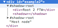 Shadow insertion points