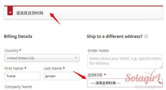 验证送货时间是否选择，如果没选，提交订单时会有错误提示