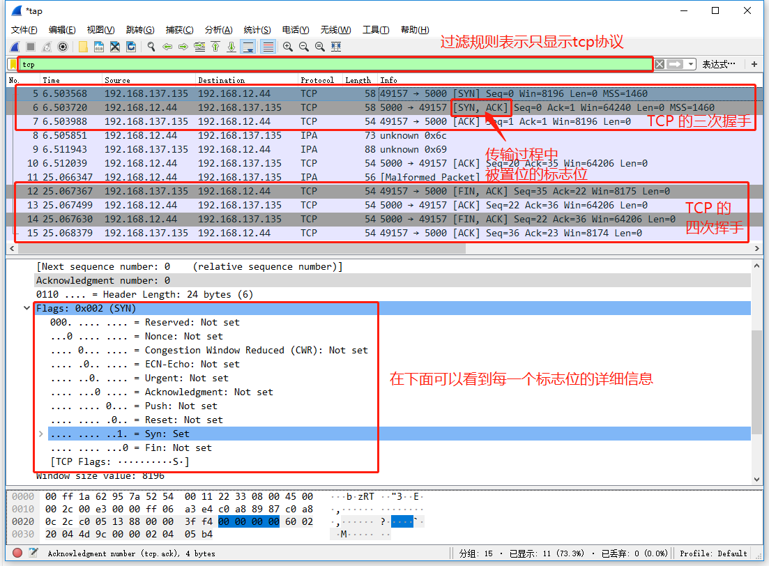 TCP 协议抓包结果