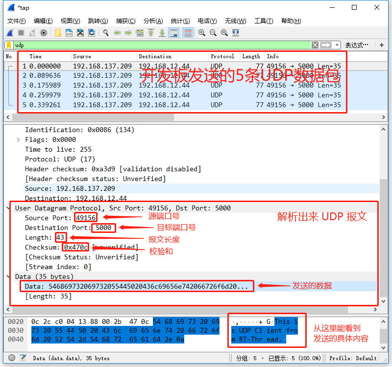 UDP 协议抓包结果