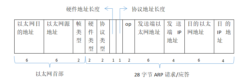 ARP 的分组格式