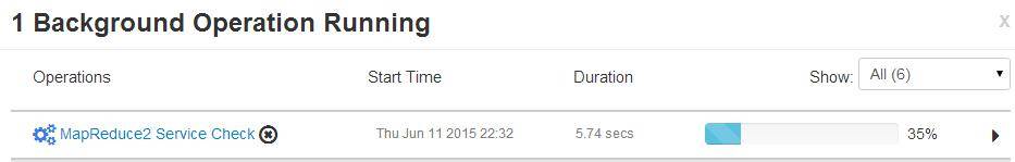 图 8. MapReduce Service Check
