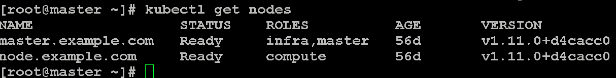 查看 Kubernetes 集群的节点