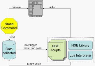 NSE 执行流程