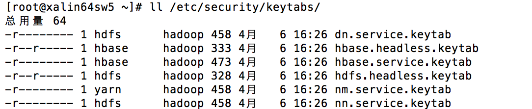 图 3. 启动 Kerberos 的 Ambari 机器上面的 Keytab 文件权限