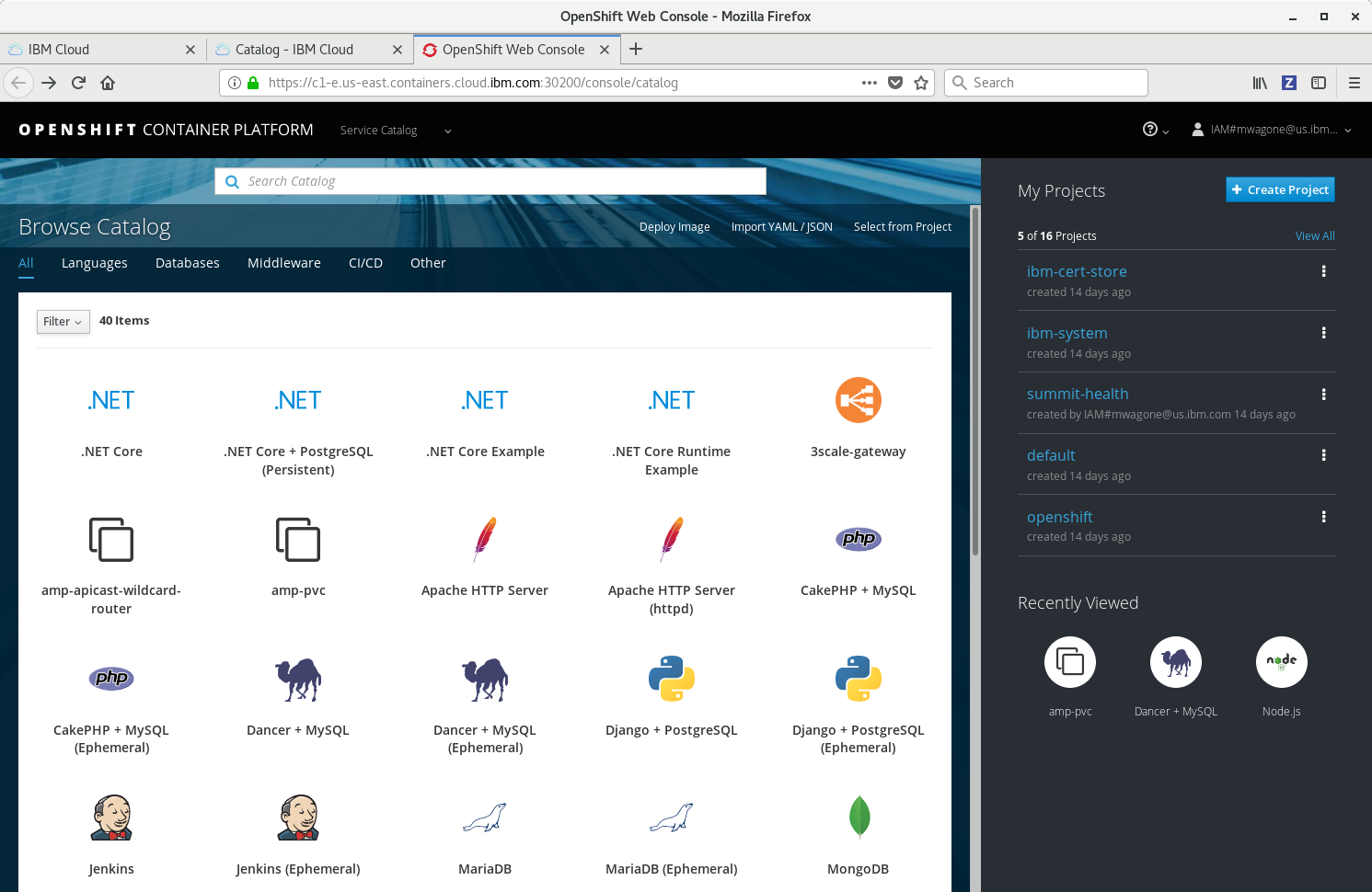 Red Hat OpenShift Web 控制台中的服务目录截屏