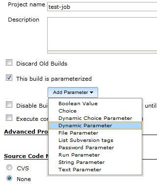 图 6. Job 配置-Dynamic Parameter