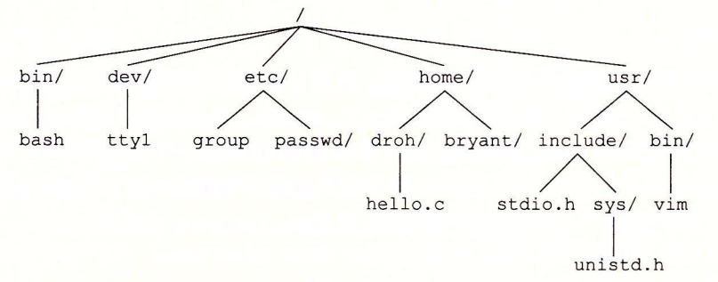 图 10-1 Linux 目录层次的一部分。尾部有斜杠表示是目录