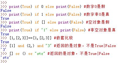 Python中的真假测试