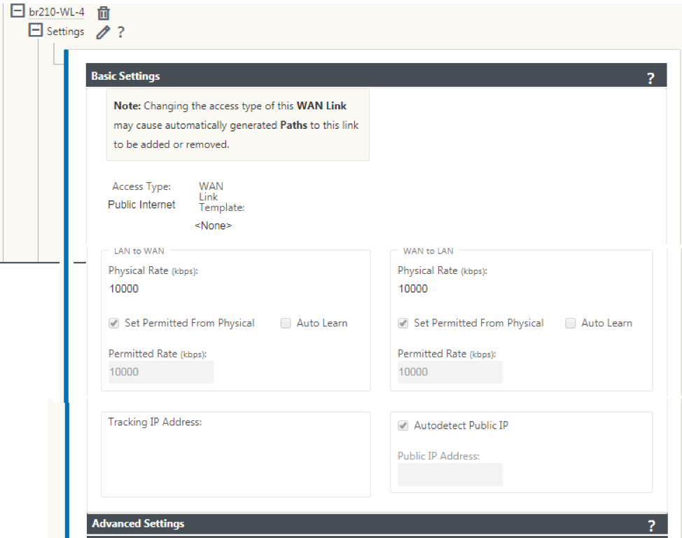 Auto detect public IP