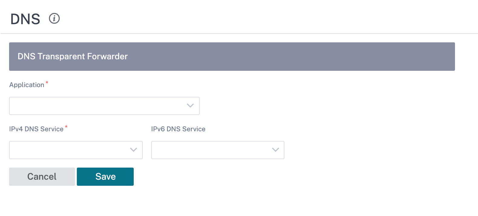 DNS transparent forwarder