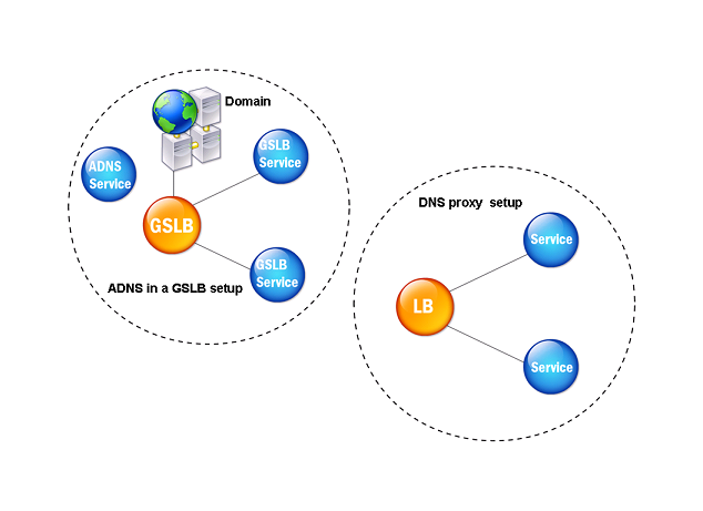 DNS entity model