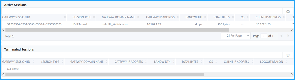 Gateway Insight active and terminated sessions