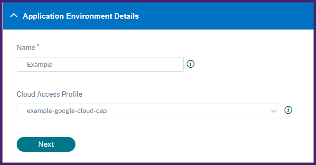 Google Cloud environment details