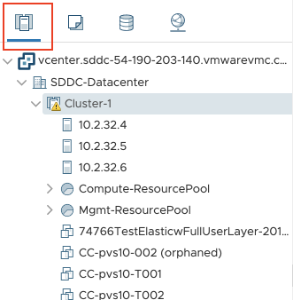 Host and cluster view