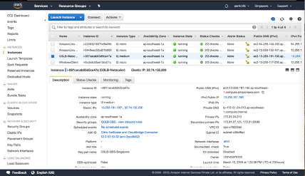 image-vpx-aws-gslb-deployment-06