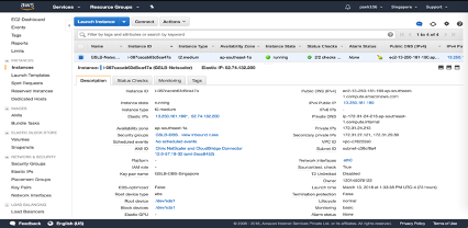 image-vpx-aws-gslb-deployment-09