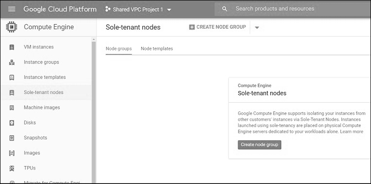 Sole tenant nodes