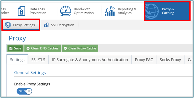 Citrix SIA PROXY CHANGE