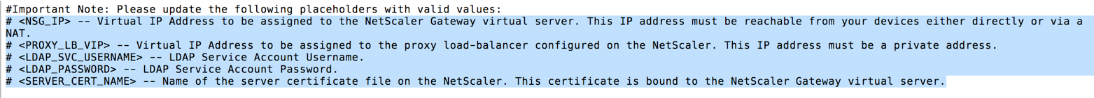 Citrix Gateway configuration screen