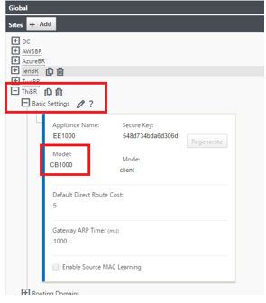 SD-WAN Center site basic settings