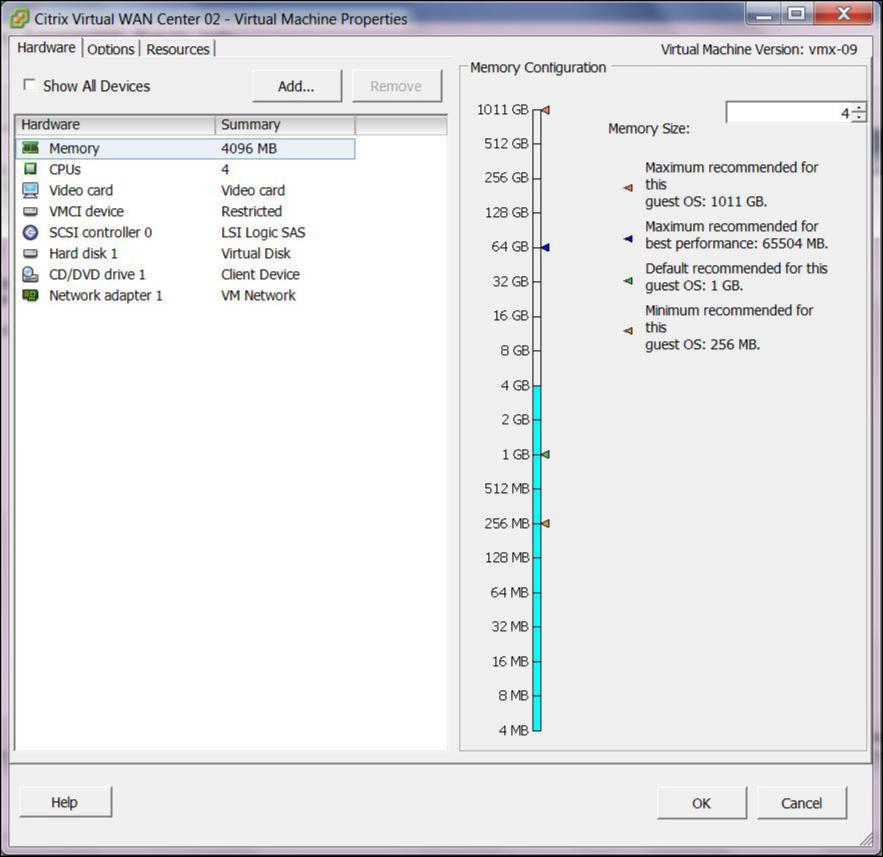 vSphere client VM properties