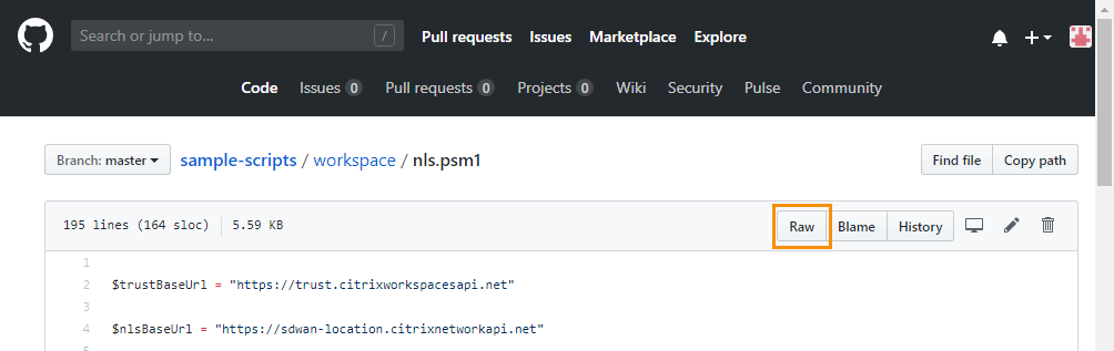 Github file view with Raw button highlighted