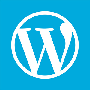 WordPress 函数参考中文文档