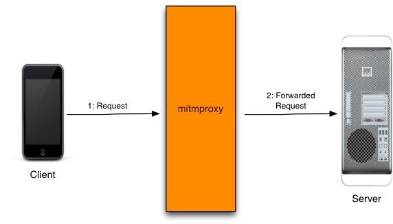 mitmproxy的工作原理