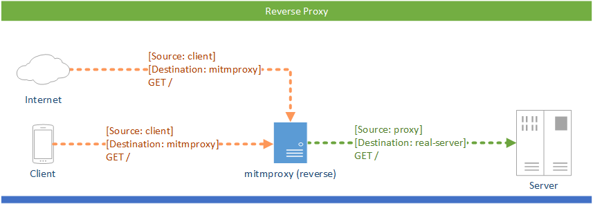 mitmproxy反向代理