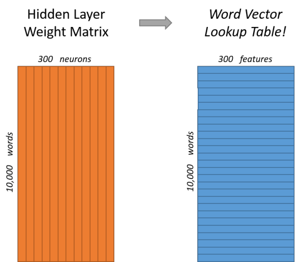 一文详解 Word2vec 之 Skip-Gram 模型（结构篇）