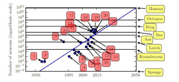 num_neurons