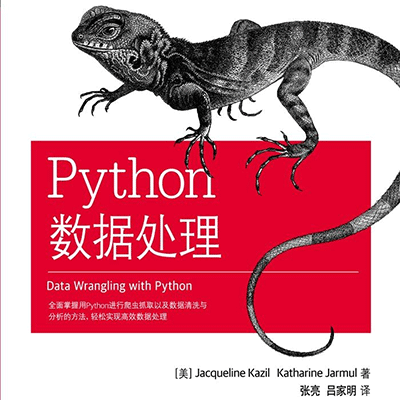 Python 数据处理