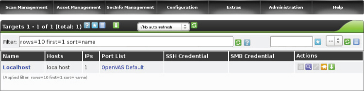 Screenshot displaying the default Localhost setup for launching a scan.