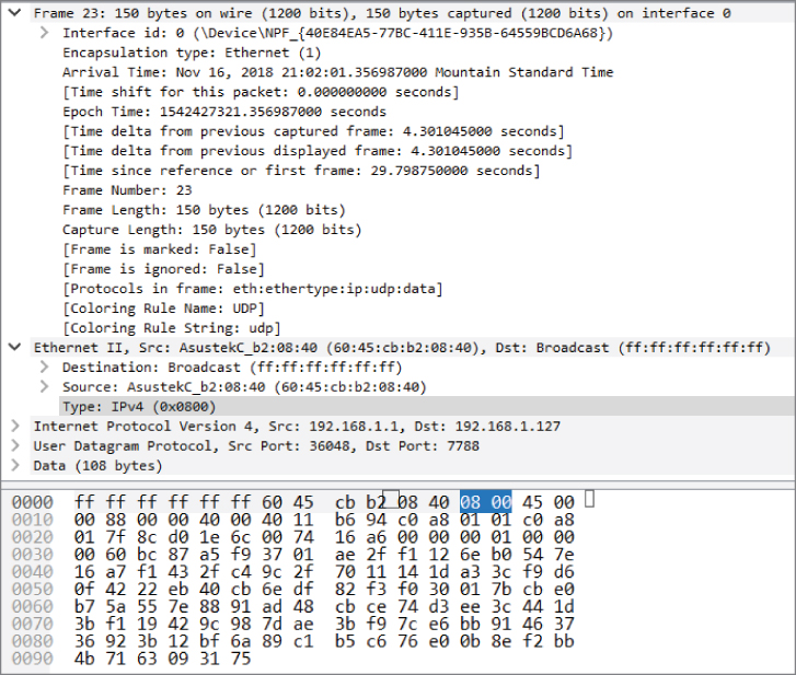 “Screenshot displaying the direct relationship between the IP type and the hexadecimal code, where each byte (8 bits) of packet capture is represented as a two-digit hexadecimal.”