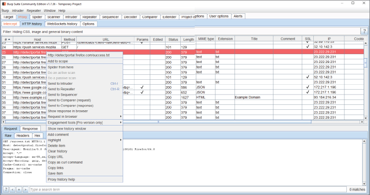 Screenshot  of the Burp Suite Community Edition page displaying the channels that can be taken for analyzing individual HTTP requests in Burp Suite.