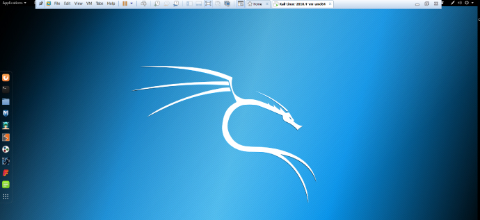 Screenshot of the full screen of the Virtual Machine displaying the logo of the Kali Linux on the desktop.