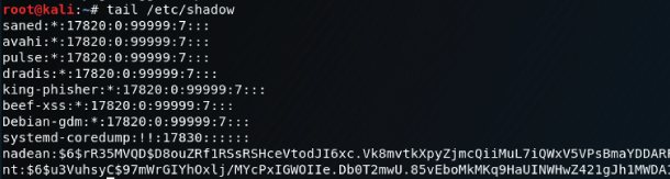 Screenshot of a command prompt displaying the list of hashes collected on Kali Linux.