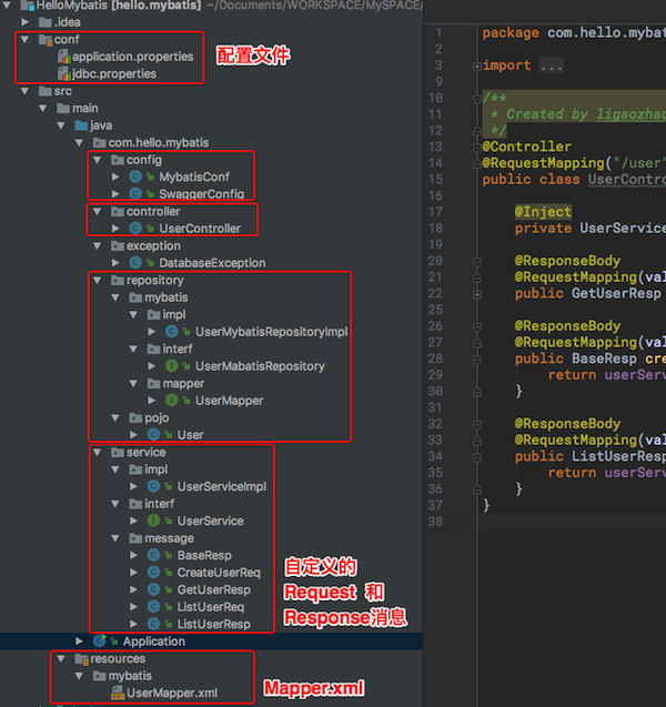 API Intellij Directory Structure