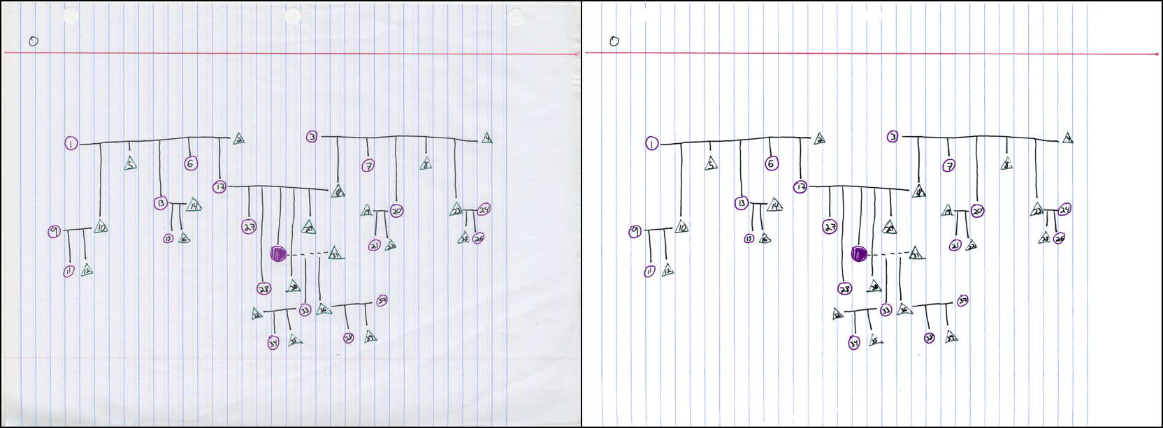 tree comparison