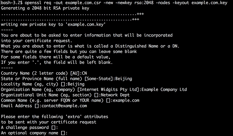 openssl input