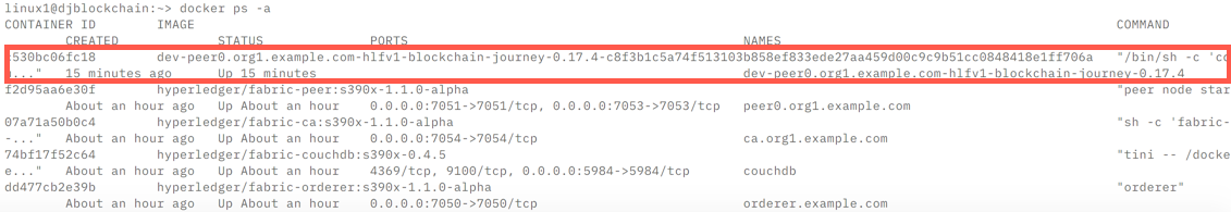 查看 Hyperledger Composer Playground 容器。