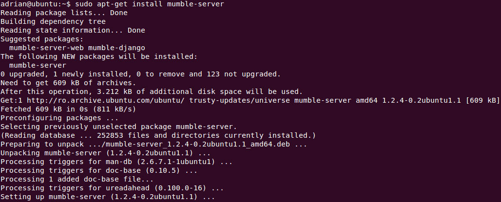 mumble install