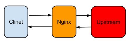 nginx