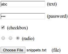 Various types of input tags