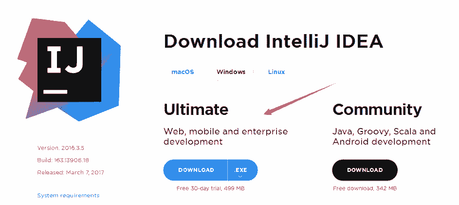 intellij-idea-web