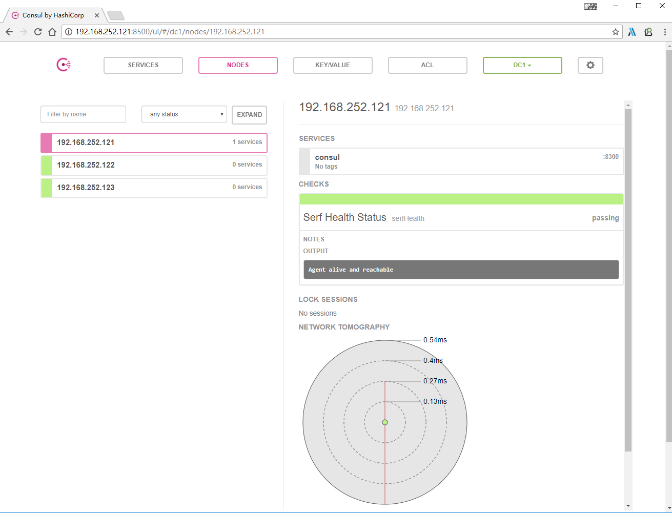 Consul Cluster 集群 nodes