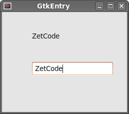 GtkEntry Widget