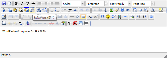  与TinyMCE3.x编辑器整合