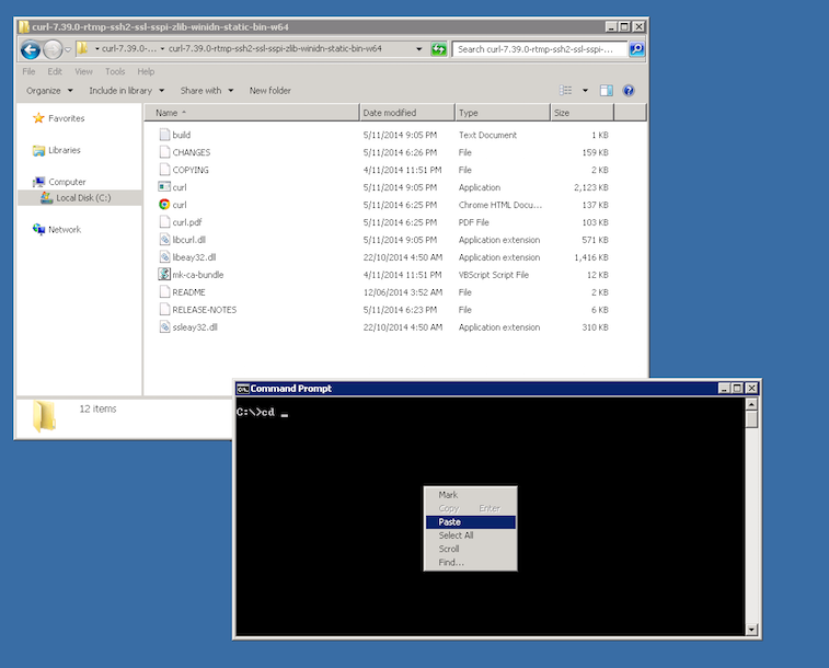 Curl on Windows step 3